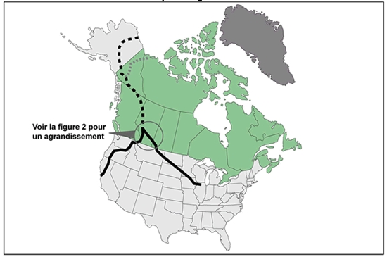 La route suggérée du gazoduc (pointillé) et les infrastructures de gazoducs connexes en Amérique du Nord.